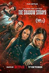 Nume de cod 13 - The Shadow Strays (2024) Film Online Subtitrat in Romana