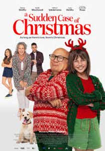 A Sudden Case of Christmas (2024) Film Online Subtitrat in Romana