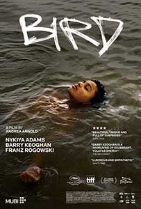 Bird (2024) Film Online Subtitrat in Romana