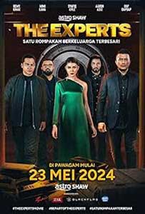 The Experts (2024) Film Online Subtitrat in Romana